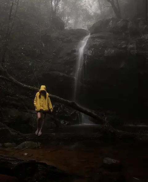 น้ำตกธารสนไหลลงหน้าผาหินในป่าหมอก มีคนใส่เสื้อกันฝนสีเหลืองยืนอยู่